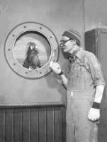 Fantail and Mr. Flannagan (Courtesy:Lee Reynolds)